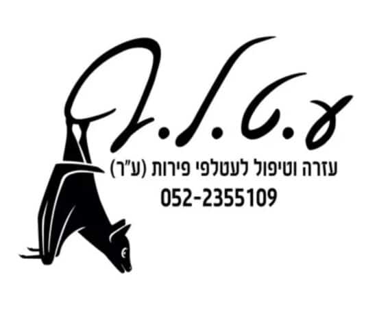 קיר חיצוני מלוכלך
