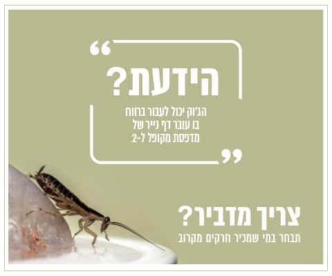 ג'וקים קטנים