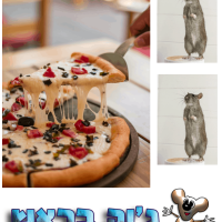 הדברה בפיצרייה