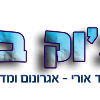 ג'וק בראש